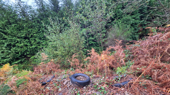 Maison de la Rivière et du Paysage - CPIE Collines normandes